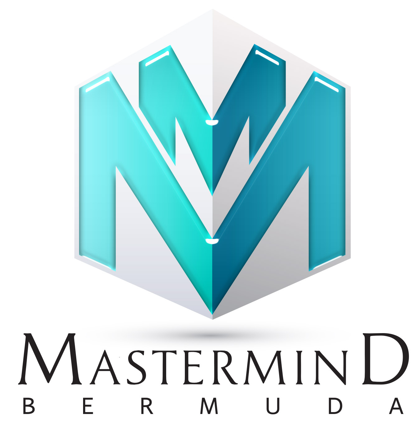 mastermind_bermuda_logo